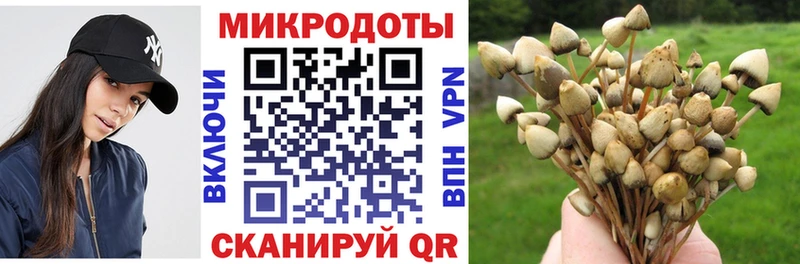 Псилоцибиновые грибы мухоморы Калач-на-Дону